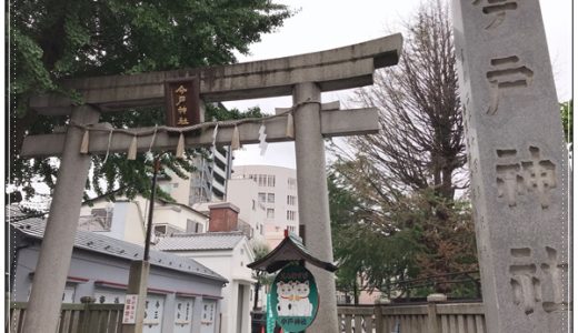 【東京浅草】かわいい招き猫がいっぱい！縁結びで有名な今戸神社