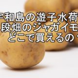 宇和島の遊子水荷浦段畑のジャガイモはどこで買えるの？